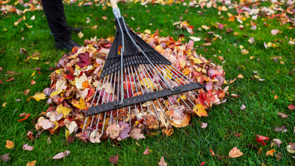 garden clean up near me garden clean up services near me garden clearance services cleaning up overgrown garden garden clean up cost garden cleaning services near me garden clearance near me garden clean up yard clean up near me yard cleanup services near me yard cleanup services near me yard clean up and removal